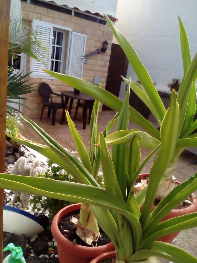 Casa Las Tuneras La Oliva Luaran gambar